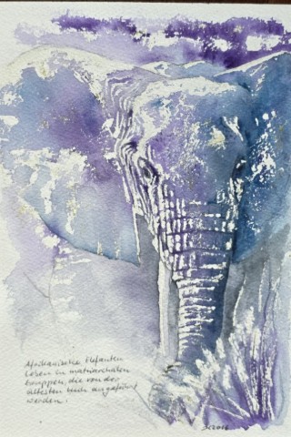 Aquarellbild  mit Elefant vor weissem Hintergrund